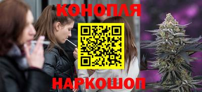 гидропоника Обь